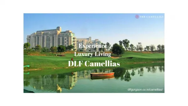 DLF - THE CAMELLIAS