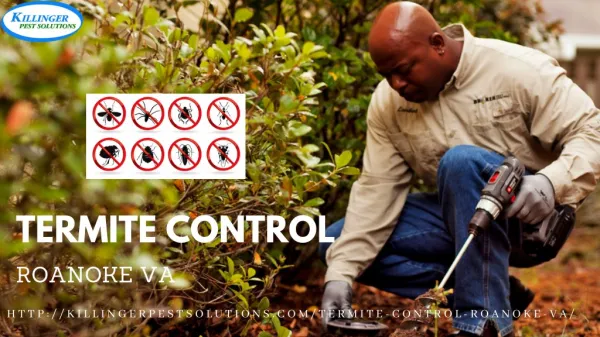 Killinger pest solutions | Exterminator Roanoke VA | Termite Control Roanoke VA