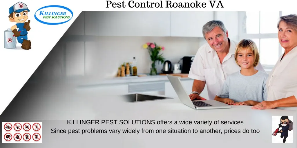 pest control roanoke va