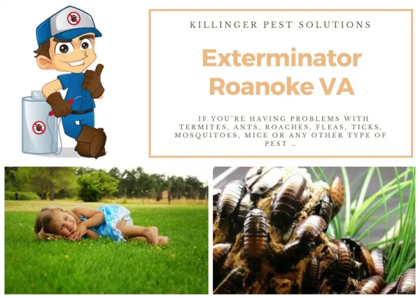 Exterminator Roanoke VA | Termite Control Roanoke VA | Pest Control Roanoke VA