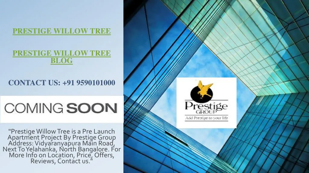 prestige willow tree prestige willow tree blog contact us 91 9590101000