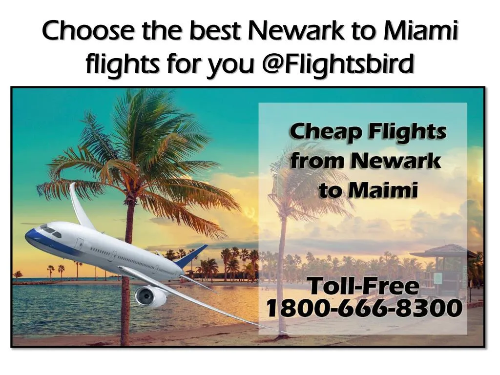 choose the best newark to miami flights for you @ flightsbird