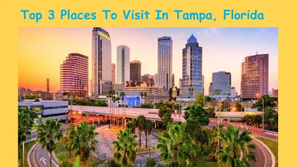 Top 3 Places You Should Must Visit In Tampa, Florida
