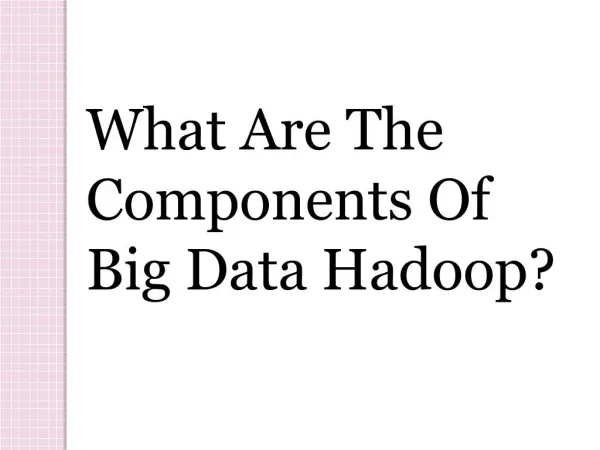What are the Components of Big Data Hadoop?