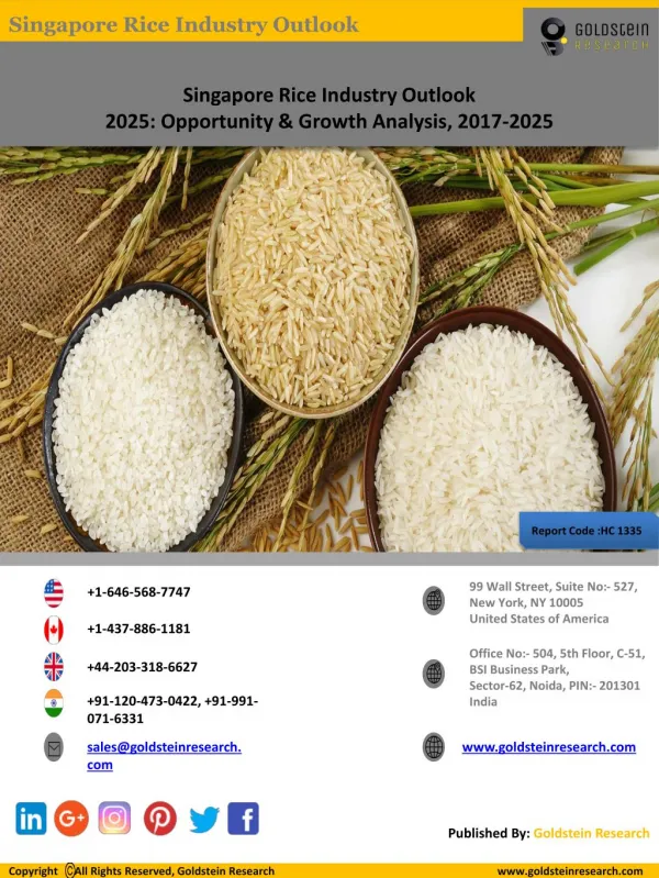 Singapore Rice Industry: Market Analysis, Size, Trends, Share, Key Players, Demand & Growth Drivers, Outlook, Forecast 2