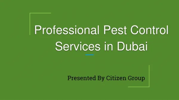 Professional Pest Control Services in Dubai | Citizen Group