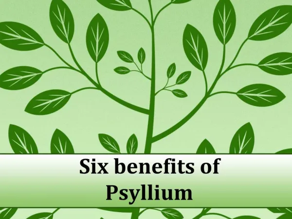 Six Benefits of Psyllium