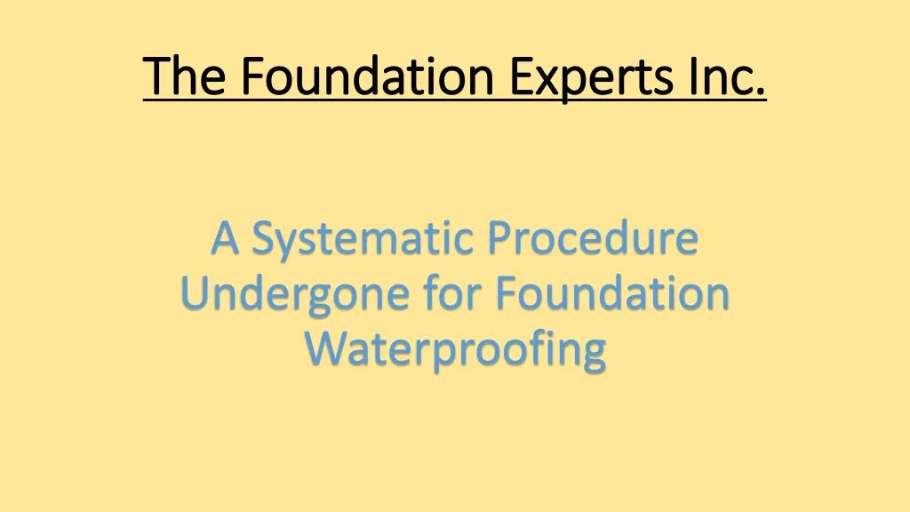 the foundation experts inc