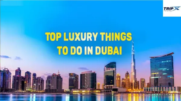 Top Luxury Things to Do in Dubai