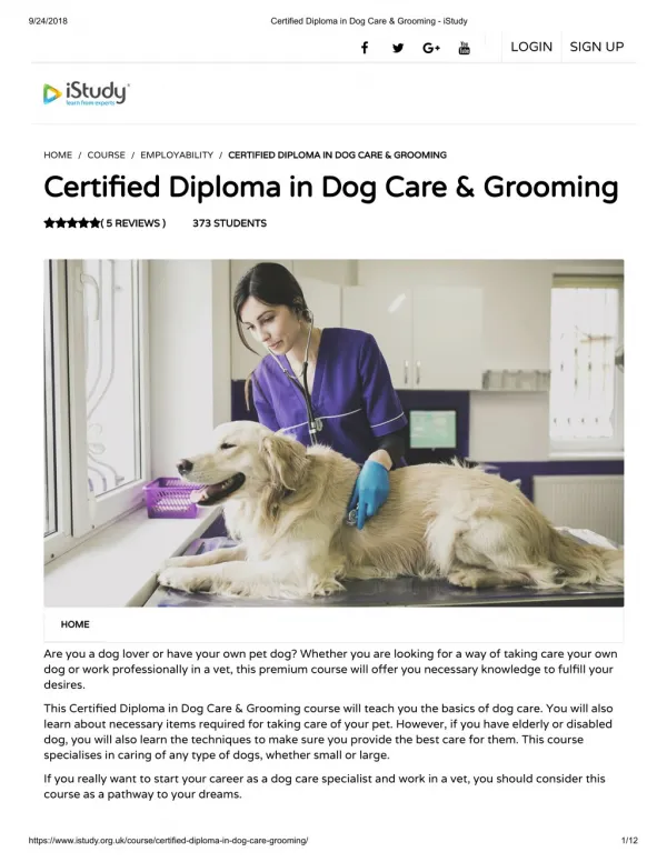 Certified Diploma in Dog Care & Grooming - istudy