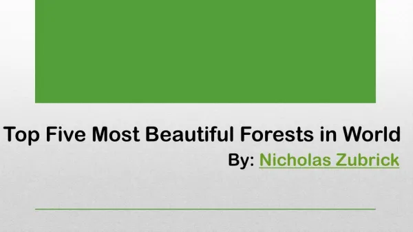 Most Beautiful Forests by Nicholas Zubrick
