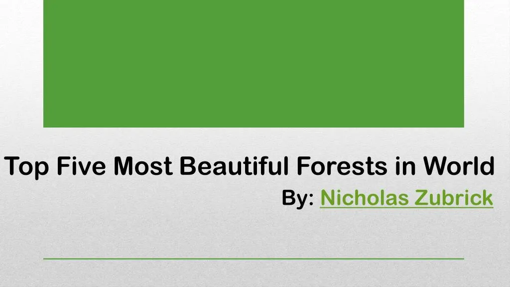 top five most beautiful forests in world