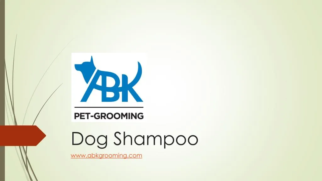 dog shampoo