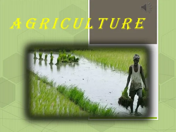 Types of Agriculture | Benedict T. Palen, Jr