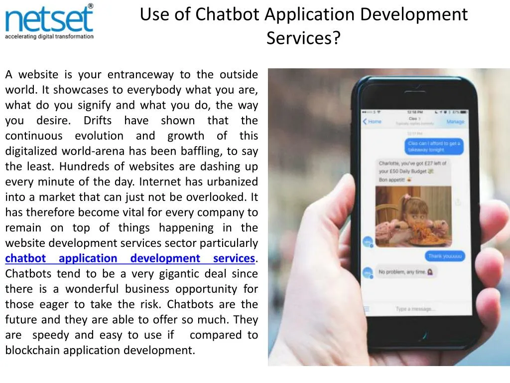 use of chatbot application development services