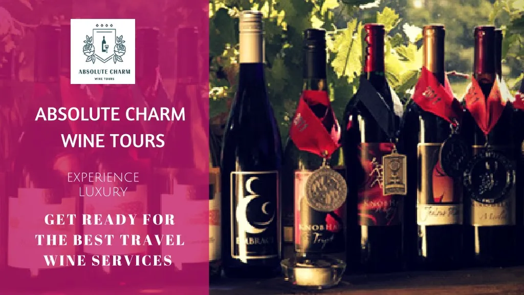 absolute charm wine tours get ready for the best
