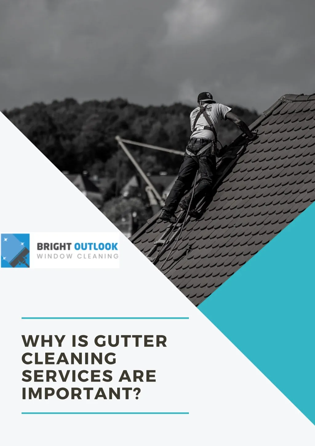 why is gutter cleaning services are important