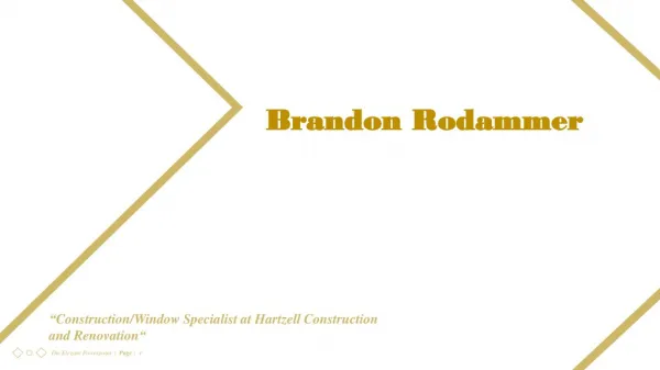 Brandon Lee Rodammer - Experienced Professional