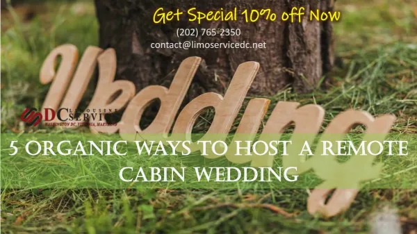 Having a Secluded Cabin Wedding and Why You Will Love the Idea