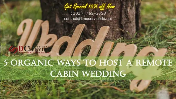 5 Organic Ways to Host a Remote Cabin Wedding