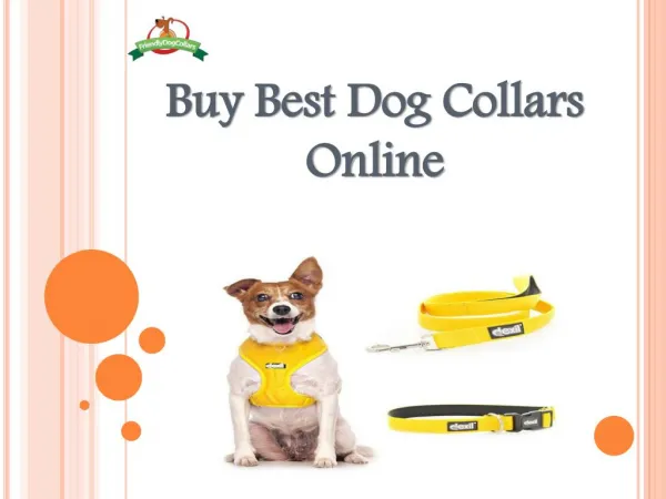 Buy Best Dog Collars Online- Friendly Dog Collars