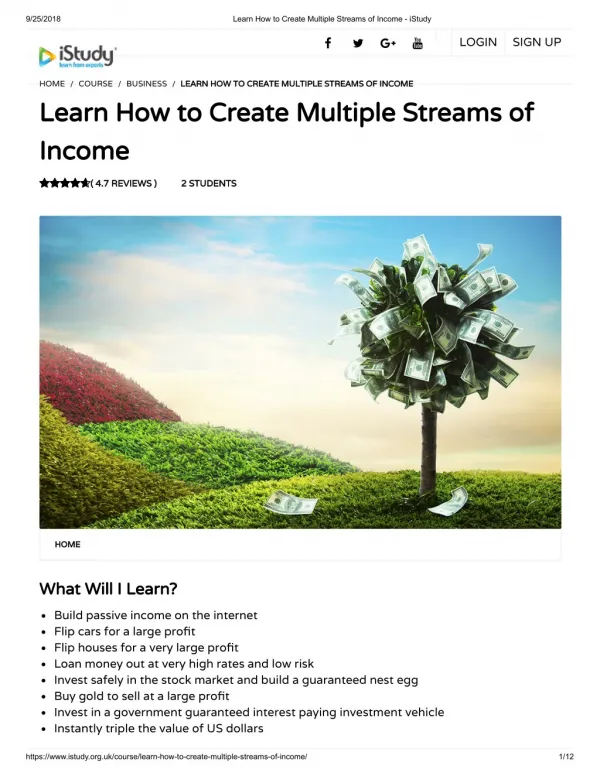 Learn How to Create Multiple Streams of Income - istudy