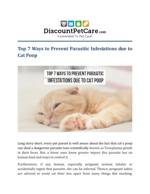 Top 7 Ways to Prevent Parasitic Infestations due to Cat Poop