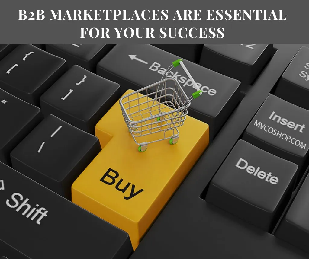 b2b marketplaces are essential for your success