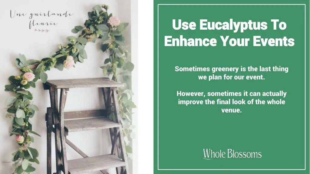 use eucalyptus to enhance your events