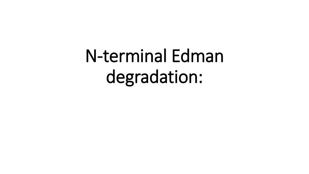 n terminal edman degradation