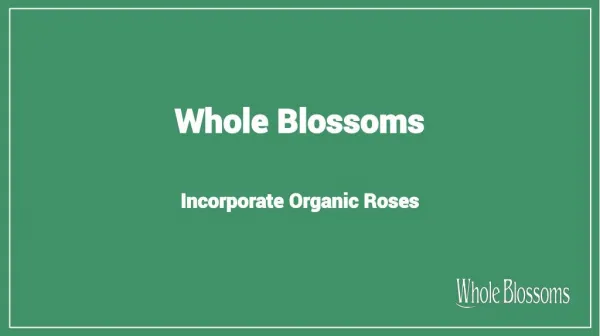 Find the Fresh Organic Roses From Whole Blossoms at the Affordable Prices