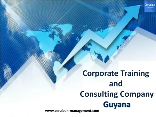Corporate Training & Consulting - Cerulean Inc.