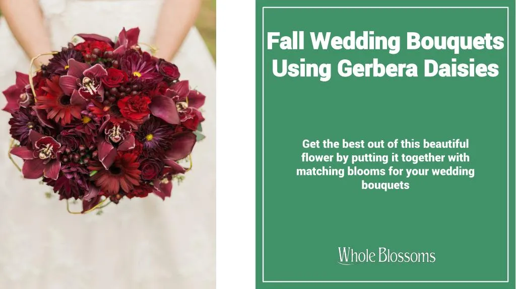 fall wedding bouquets using gerbera daisies