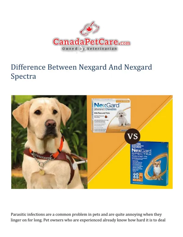 Difference Between Nexgard VS Nexgard Spectra