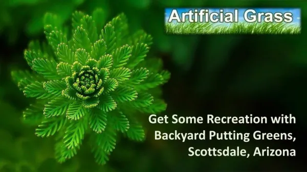 Get Some Recreation with Backyard Putting Greens, Scottsdale, Arizona