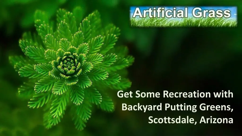 get some recreation with backyard putting greens
