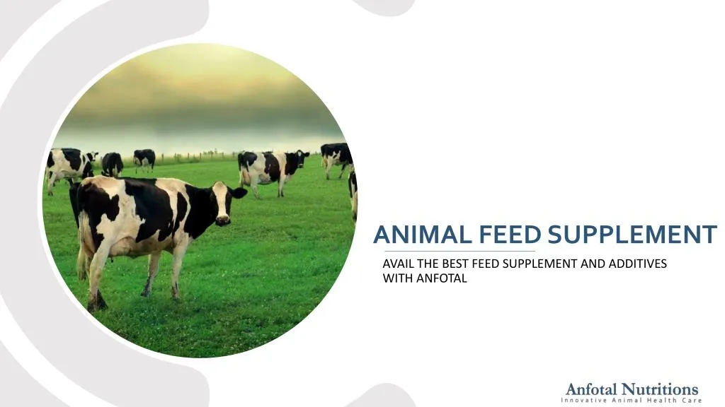 animal feed supplement