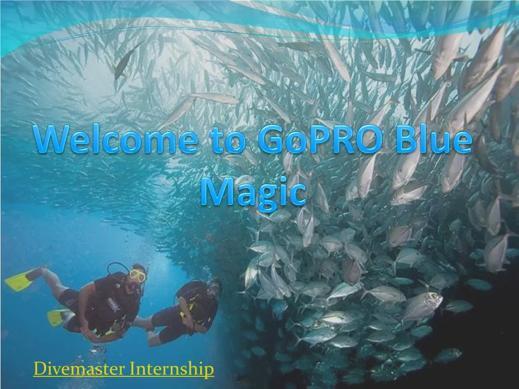 welcome to gopro blue magic