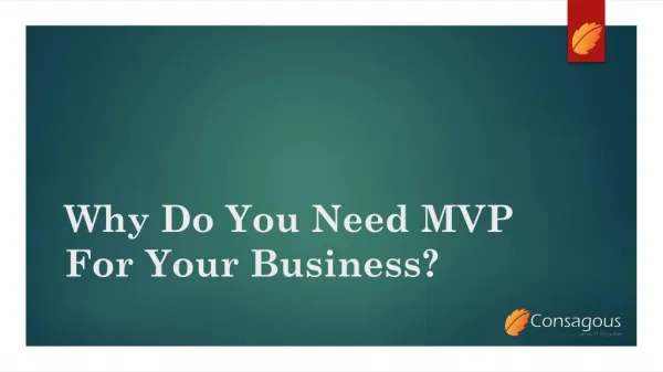 Why You Need an MVP for Your Business?