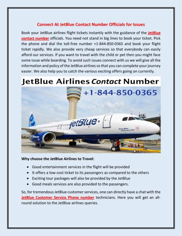 Avail JetBlue Services with JetBlue Contact Number Agents