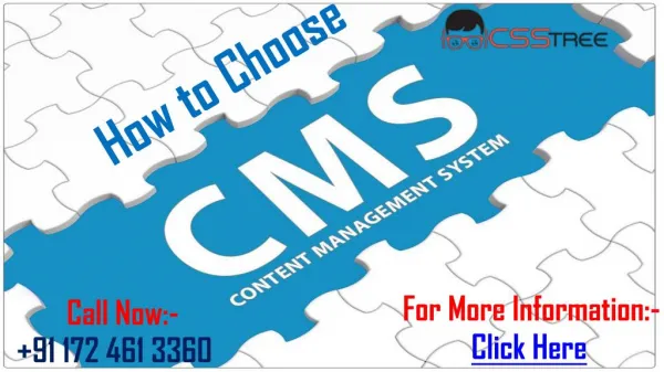 How to Choose a Content Management System