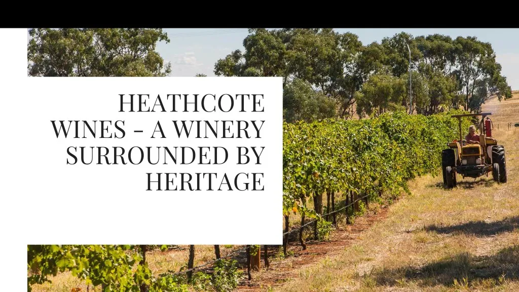 heathcote wines a winery surrounded by heritage