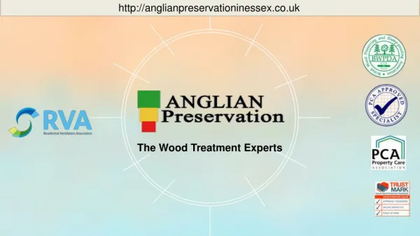 Timber Shrinkage Treatment UK -Anglian Preservation