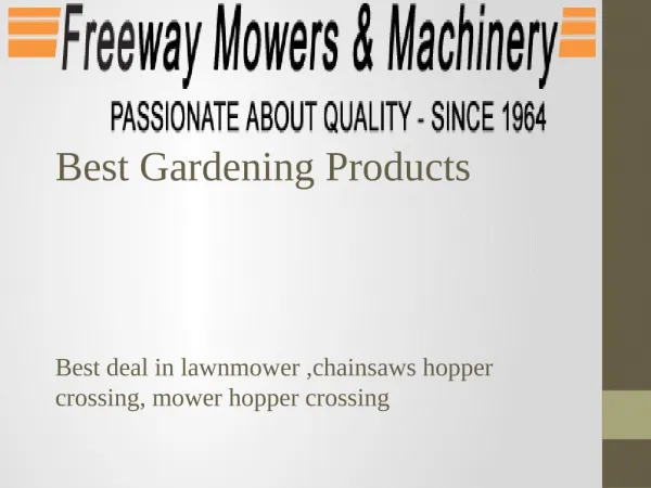 Chainsaws Hoppers Crossing
