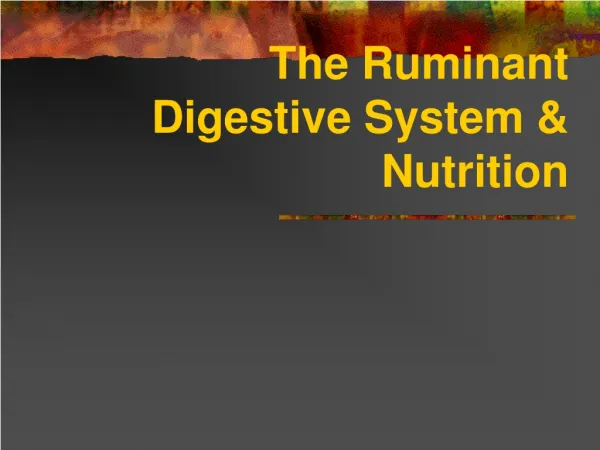The Ruminant Digestive System &amp; Nutrition