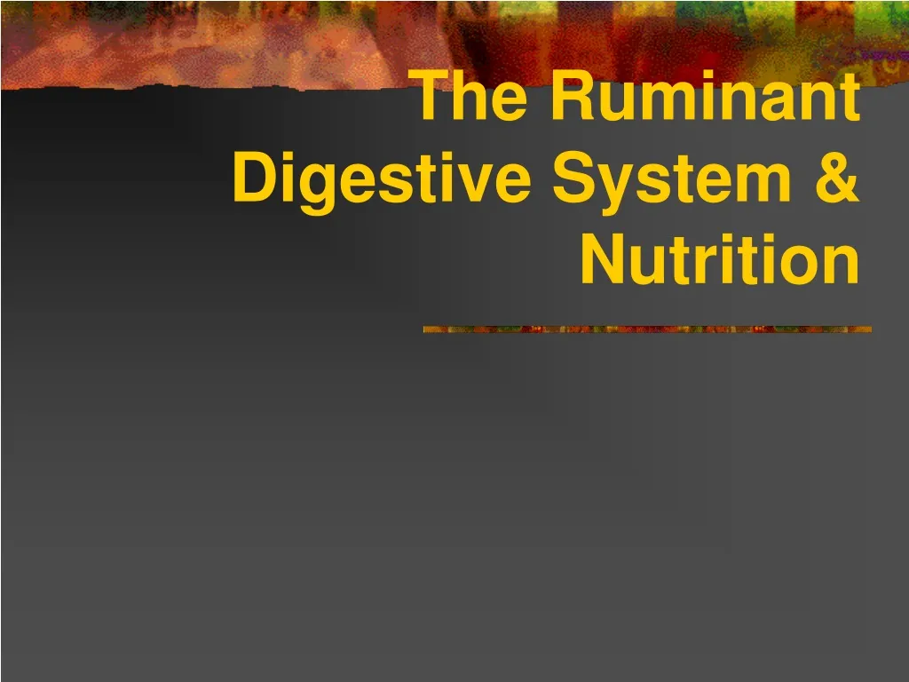 the ruminant digestive system nutrition