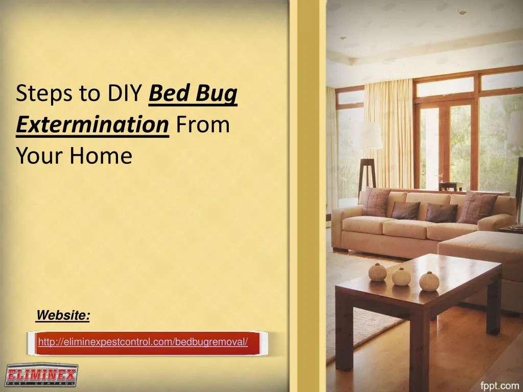 steps to diy bed bug extermination from your home