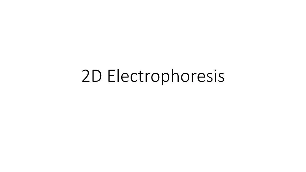 2d electrophoresis