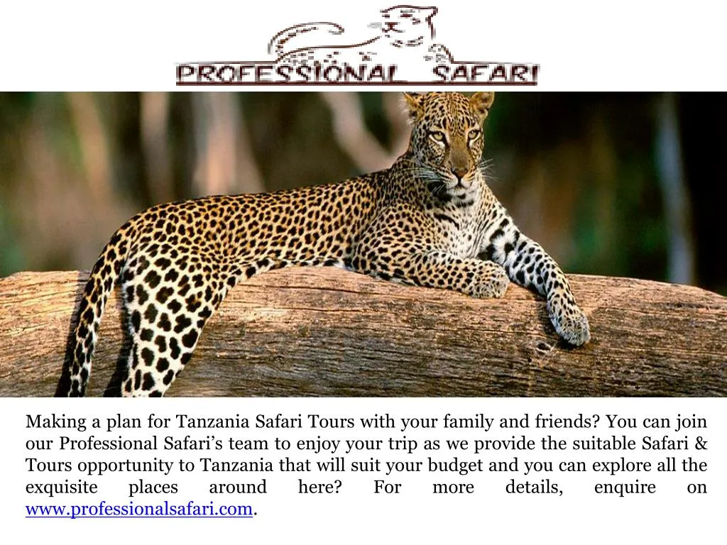 making a plan for tanzania safari tours with your
