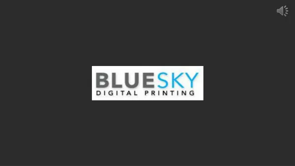 Bluesky Digital Printing an Outdoor Advertising & Printing Company